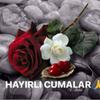 Halime K.