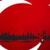 Büşranur Ü.